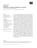 Báo cáo khoa học:  Vitamin C Biosynthesis, recycling and degradation in mammals