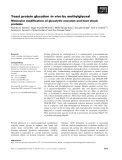 Báo cáo khoa học: Yeast protein glycation in vivo by methylglyoxal Molecular modiﬁcation of glycolytic enzymes and heat shock proteins