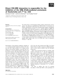 Báo cáo khoa học: Direct CIII–HﬂB interaction is responsible for the inhibition of the HﬂB (FtsH)-mediated proteolysis of Escherichia coli r32 by kCIII