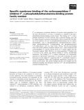 Báo cáo khoa học: Speciﬁc membrane binding of the carboxypeptidase Y inhibitor IC, a phosphatidylethanolamine-binding protein family member