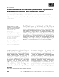 Báo cáo khoa học:  Submembraneous microtubule cytoskeleton: regulation of ATPases by interaction with acetylated tubulin