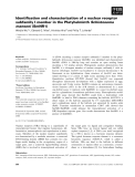 Báo cáo khoa học: Identiﬁcation and characterization of a nuclear receptor subfamily I member in the Platyhelminth Schistosoma mansoni (SmNR1)