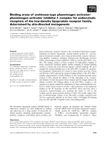 Báo cáo khoa học: Binding areas of urokinase-type plasminogen activator– plasminogen activator inhibitor-1 complex for endocytosis receptors of the low-density lipoprotein receptor family, determined by site-directed mutagenesis