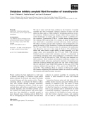 Báo cáo khoa học: Oxidation inhibits amyloid ﬁbril formation of transthyretin