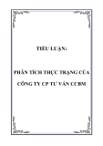 TIỂU LUẬN:  PHÂN TÍCH THỰC TRẠNG CỦA CÔNG TY CP TƯ VẤN CCBM