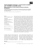 Báo cáo khoa học: Triose phosphate isomerase, a novel enzyme-crystallin, and s-crystallin in crocodile cornea High accumulation of both proteins during late embryonic development