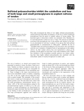 Báo cáo khoa học: Sulfated polysaccharides inhibit the catabolism and loss of both large and small proteoglycans in explant cultures of tendon