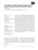 Báo cáo khoa học: The CssRS two-component regulatory system controls a general secretion stress response in Bacillus subtilis