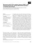 Báo cáo khoa học: Structural study of the catalytic domain of PKCf using infrared spectroscopy and two-dimensional infrared correlation spectroscopy