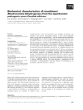 Báo cáo khoa học: Biochemical characterization of recombinant dihydroorotate dehydrogenase from the opportunistic pathogenic yeast Candida albicans