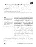 Báo cáo khoa học: a-Conotoxin analogs with additional positive charge show increased selectivity towards Torpedo californicaand some neuronal subtypes of nicotinic acetylcholine receptors