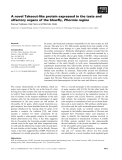 Báo cáo khoa học: A novel Takeout-like protein expressed in the taste and olfactory organs of the blowﬂy, Phormia regina