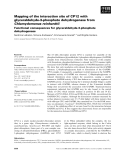 Báo cáo khoa học: Mapping of the interaction site of CP12 with glyceraldehyde-3-phosphate dehydrogenase from Chlamydomonas reinhardtii Functional consequences for glyceraldehyde-3-phosphate dehydrogenase