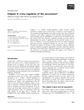 Báo cáo khoa học: Calpain 3: a key regulator of the sarcomere?