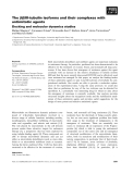 Báo cáo khoa học: The bI/bIII-tubulin isoforms and their complexes with antimitotic agents