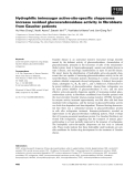 Báo cáo khoa học: Hydrophilic iminosugar active-site-speciﬁc chaperones increase residual glucocerebrosidase activity in ﬁbroblasts from Gaucher patients