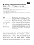 Báo cáo khoa học: An alternative pathway of vitamin D2metabolism Cytochrome P450scc (CYP11A1)-mediated conversion to 20-hydroxyvitamin D2and 17,20-dihydroxyvitamin D2