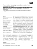 Báo cáo khoa học: The crystal structure of pyruvate decarboxylase from Kluyveromyces lactis Implications for the substrate activation mechanism of this enzyme