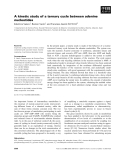 Báo cáo khoa học: A kinetic study of a ternary cycle between adenine nucleotides