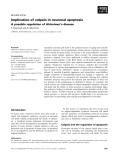 Báo cáo khoa học: Implication of calpain in neuronal apoptosis A possible regulation of Alzheimer’s disease