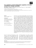 Báo cáo khoa học: Iron regulatory protein-independent regulation of ferritin synthesis by nitrogen monoxide
