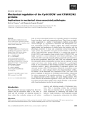 Báo cáo khoa học: Mechanical regulation of the Cyr61/CCN1 and CTGF/CCN2 proteins Implications in mechanical stress-associated pathologies