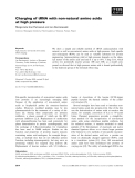 Báo cáo khoa học: Charging of tRNA with non-natural amino acids at high pressure