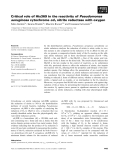 Báo cáo khoa học: Critical role of His369 in the reactivity of Pseudomonas aeruginosa cytochrome cd1 nitrite reductase with oxygen