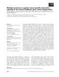 Báo cáo khoa học: Multiple promoters regulate tissue-speciﬁc alternative splicing of the human kallikrein gene, KLK11⁄hippostasin