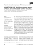 Báo cáo khoa học: Hypoxia reduces the expression of heme oxygenase-2 in various types of human cell lines A possible strategy for the maintenance of intracellular heme level