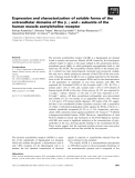 Báo cáo khoa học: Expression and characterization of soluble forms of the extracellular domains of the b, c and e subunits of the human muscle acetylcholine receptor