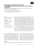 Báo cáo khoa học: Biochemical characterization of human 3-methylglutaconyl-CoA hydratase and its role in leucine metabolism