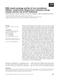 Báo cáo khoa học: DNA strand exchange activity of rice recombinase OsDmc1 monitored by ﬂuorescence resonance energy transfer and the role of ATP hydrolysis