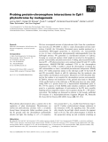 Báo cáo khoa học: Probing protein–chromophore interactions in Cph1 phytochrome by mutagenesis