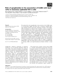 Báo cáo khoa học: Role of gangliosides in the association of ErbB2 with lipid rafts in mammary epithelial HC11 cells