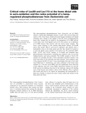 Báo cáo khoa học: Critical roles of Leu99 and Leu115 at the heme distal side in auto-oxidation and the redox potential of a hemeregulated phosphodiesterase from Escherichia coli