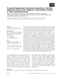 Báo cáo khoa học: A second independent resistance mechanism to Bacillus sphaericus binary toxin targets its a-glucosidase receptor in Culex quinquefasciatus