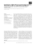 Báo cáo khoa học: Identiﬁcation of RNase HII from psychrotrophic bacterium, Shewanella sp. SIB1 as a high-activity type RNase H