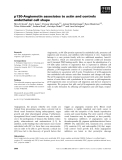 Báo cáo khoa học: p130-Angiomotin associates to actin and controls endothelial cell shape