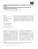 Báo cáo khoa học: Copper-dependent degradation of recombinant ovine prion protein Phosphatidylinositol stimulates aggregation and copper-driven disappearance of prion protein