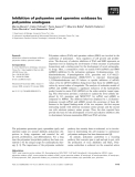 Báo cáo khoa học: Inhibition of polyamine and spermine oxidases by polyamine analogues