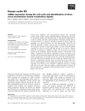 Báo cáo khoa học: Human cyclin B3 mRNA expression during the cell cycle and identification of three novel nonclassical nuclear localization signals