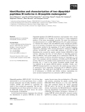 Báo cáo khoa học: Identiﬁcation and characterization of two dipeptidylpeptidase III isoforms in Drosophila melanogaster