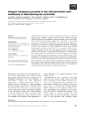 Báo cáo khoa học: Integral membrane proteins in the mitochondrial outer membrane of Saccharomyces cerevisiae