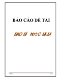 BÁO CÁO ĐỀ TÀI BAO BÌ NƯỚC MẮM