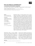 Báo cáo khoa học: Fish and molluscan metallothioneins A structural and functional comparison