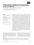 Báo cáo khoa học: Induction of PAI-1 expression by tumor necrosis factor a in endothelial cells is mediated by its responsive element located in the 4G/5G site