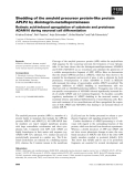 Báo cáo khoa học: Shedding of the amyloid precursor protein-like protein APLP2 by disintegrin-metalloproteinases Retinoic acid-induced upregulation of substrate and proteinase ADAM10 during neuronal cell differentiation