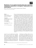 Báo cáo khoa học: Modulation of oat arginine decarboxylase gene expression and genome organization in transgenic Trypanosoma cruzi epimastigotes