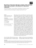 Báo cáo khoa học: Reactivity of the heme–dioxygen complex of the inducible nitric oxide synthase in the presence of alternative substrates